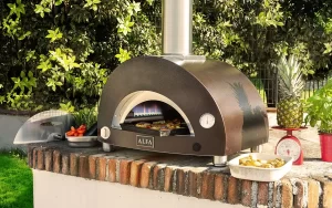 Wood/gas oven Alfa Forni ONE/NANO - Image 7